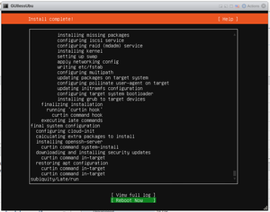 Ubuntu Mini install 015.png