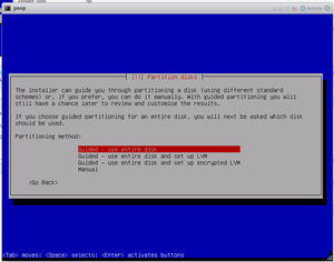 Debian Mini Install 013.png