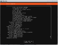 Ubuntu Mini install 014.png