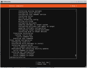 Ubuntu Mini install 014.png