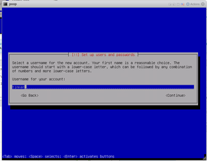 Debian Mini Install 009.png
