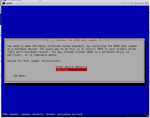 Debian Mini Install 025.png