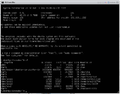Ubuntu Mini install 020.png