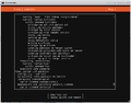 Ubuntu Mini install 013.png