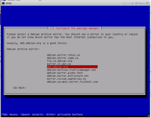 Debian Mini Install 020.png