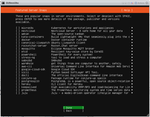 Ubuntu Mini install 012.png
